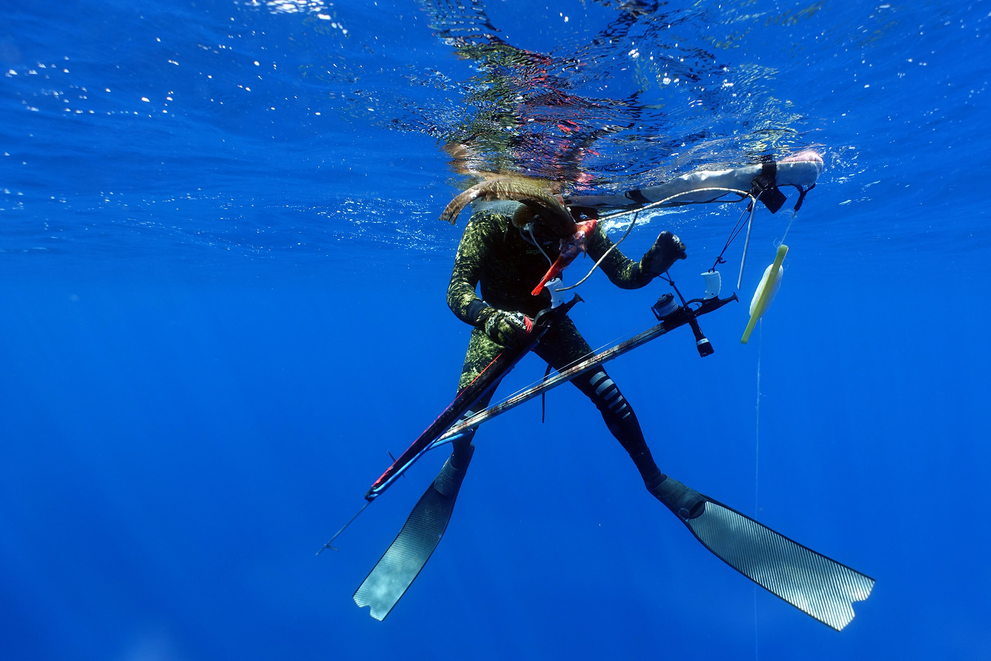 Камера для подводной охоты для новичков и профессионалов